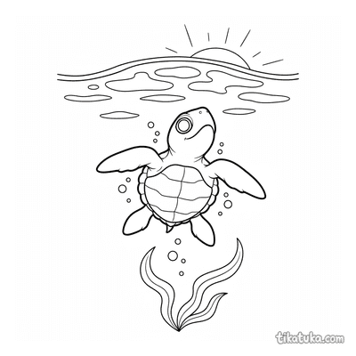 Baby Turtle to the Light