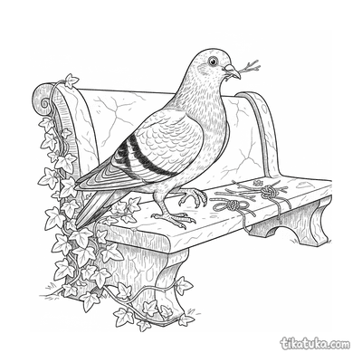 Pigeon Collecting Twigs