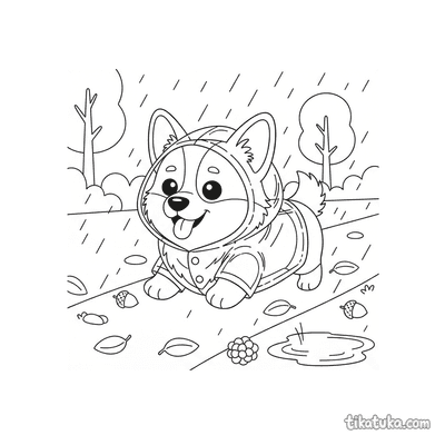 Dog in Raincoat on a Walk