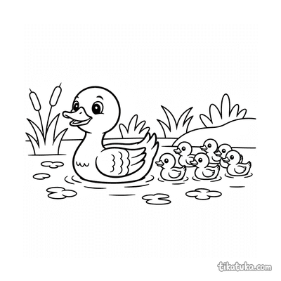 Family of Ducks Swimming