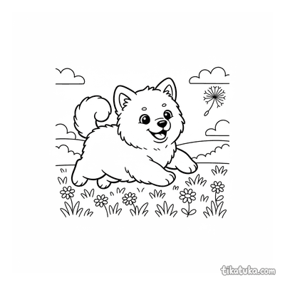 Fluffy Samoyed Puppy