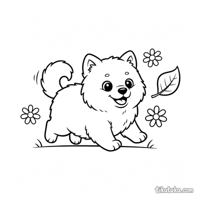Fluffy Samoyed Puppy
