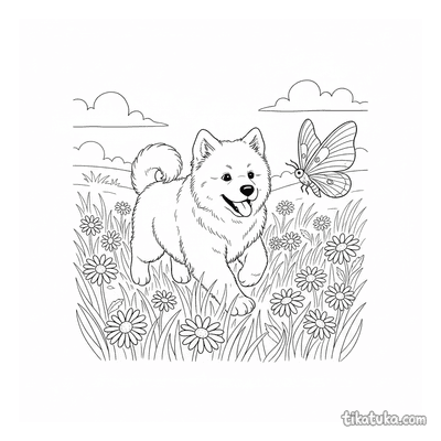 Fluffy Samoyed Puppy