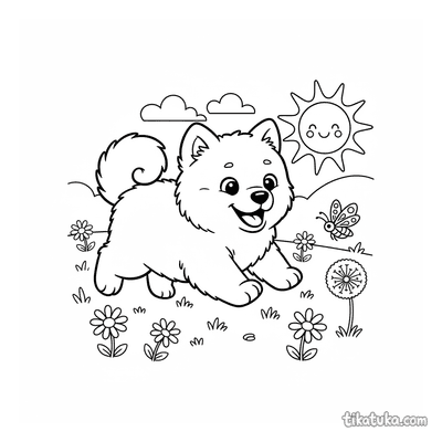 Fluffy Samoyed Puppy