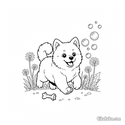 Fluffy Samoyed Puppy