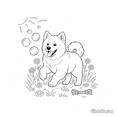 Fluffy Samoyed Puppy
