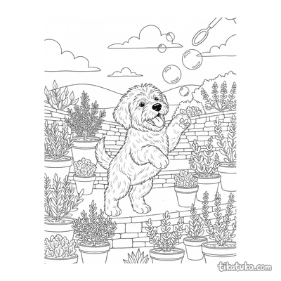 Sheepdog Puppy Chasing Bubbles