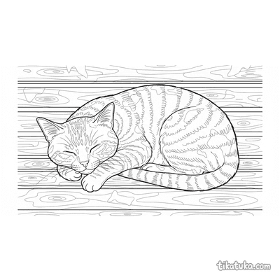 Old Tabby Cat Napping on Sunny Bench