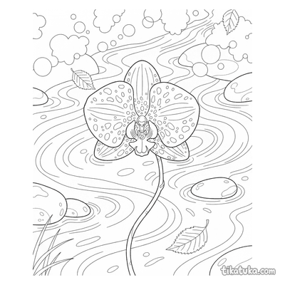 Orchid Floating in Forest Stream