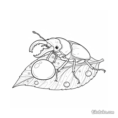Stag Beetle Guard