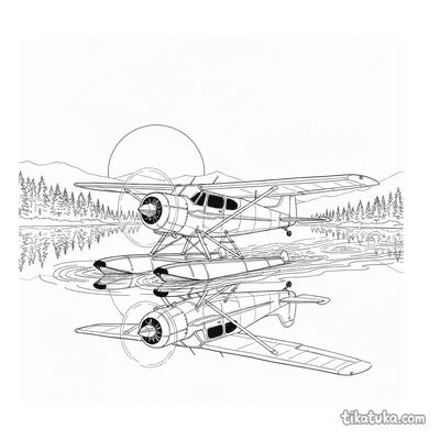 Seaplane Taxiing on Mountain Lake