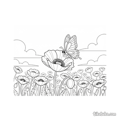 Poppy Meadow
