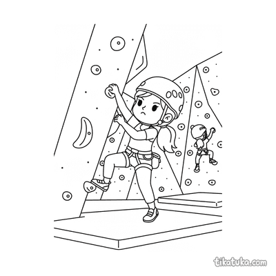 Indoor Rock Climber