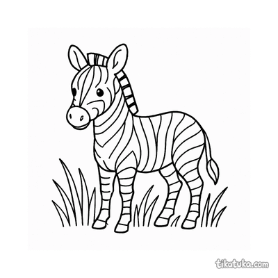 Zebra Foal in the Grass